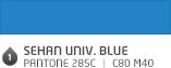 SEHAN UNIV. BLUE Pantone 285c ㅣ C80 M40