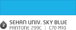 SEHAN UNIV. Sky Blue  Pantone 299c ㅣ C70 M10