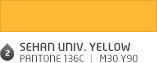 SEHAN UNIV. Yellow
 Pantone 136c ㅣ M30 Y90