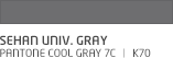 SEHAN UNIV. Gray Pantone cool gray 7c ㅣ K70
