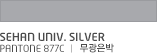 SEHAN UNIV. silver pantone 877c ㅣ 무광은박